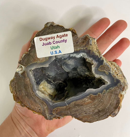 Dugway Agate - Utah USA (1177)