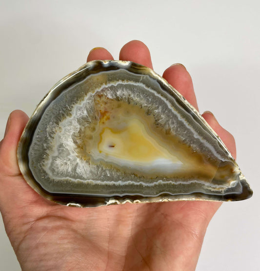 Agate Slice (1170)