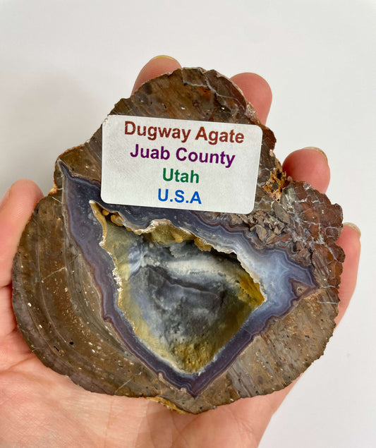 Dugway Agate - Utah USA (1174)