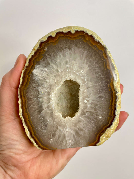 Agate Slice (1169)