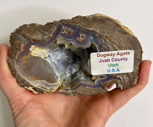 Dugway Agate - Utah USA (1175)