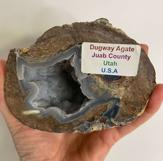 Dugway Agate - Utah USA (1176)