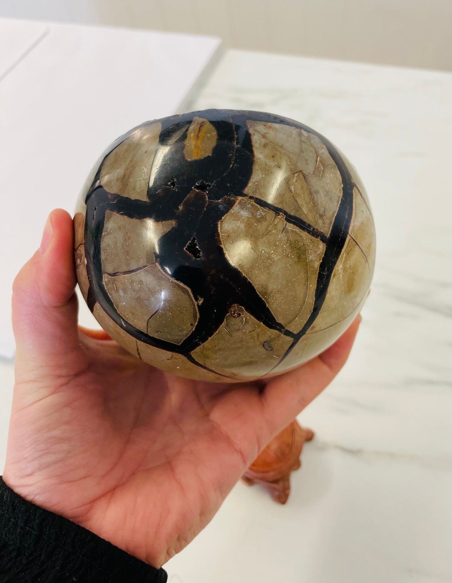 Septarian Dragons Egg - 1048