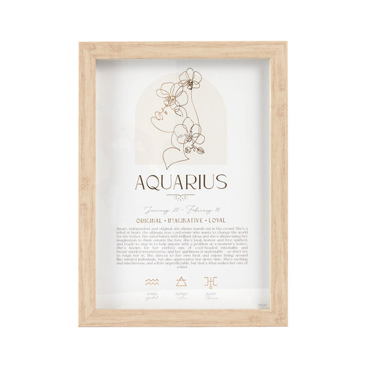 AQUARIUS Framed Print